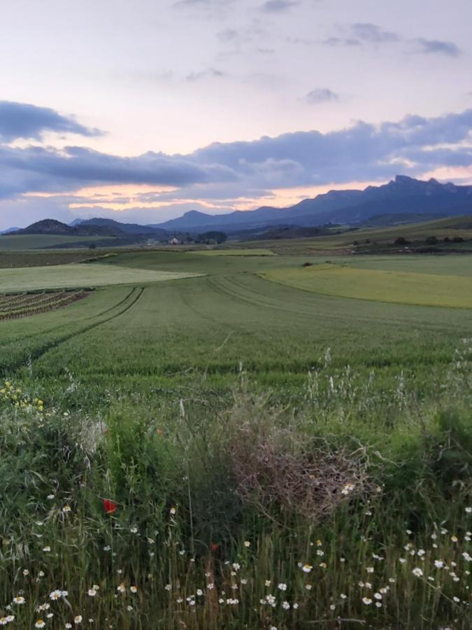 Durmiendo Como Reyes En La Rioja Cihuri Bagian luar foto